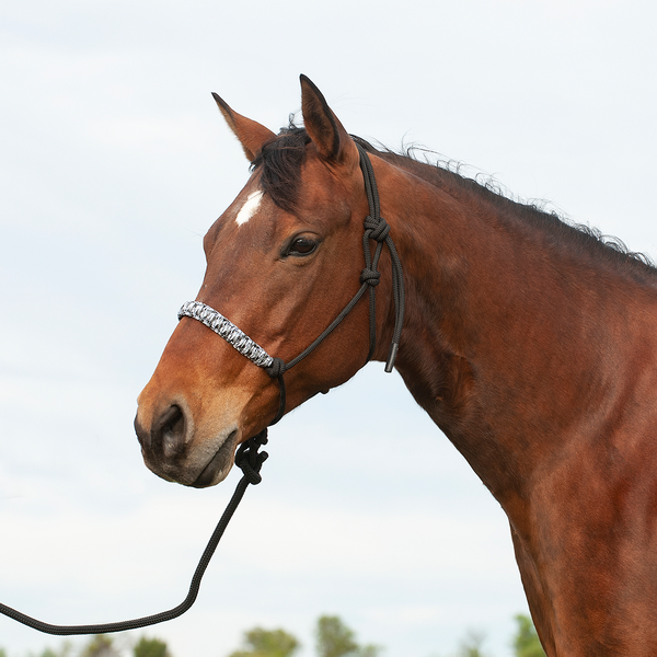 CASHEL HTR-BNRH FLAT BRAID HALTER AND LEADROPE