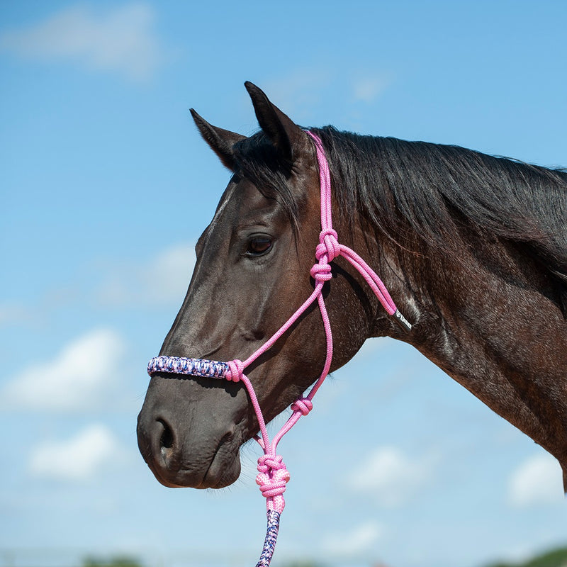 CASHEL HTR-BNRH FLAT BRAID HALTER AND LEADROPE